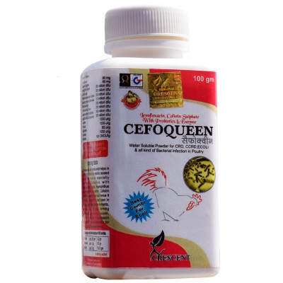 CEFOQUEEN POWDER 