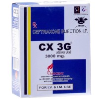 CX-3G